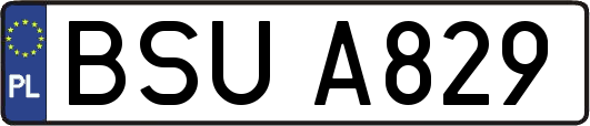 BSUA829