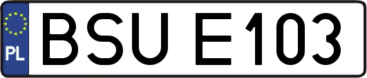 BSUE103