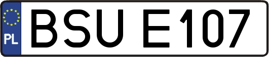 BSUE107