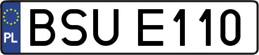 BSUE110