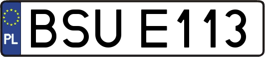 BSUE113