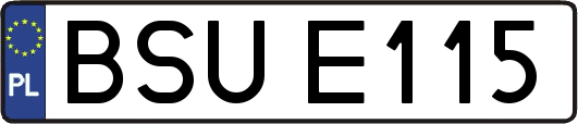 BSUE115