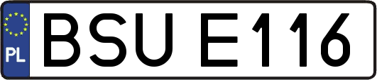 BSUE116