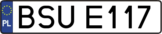 BSUE117