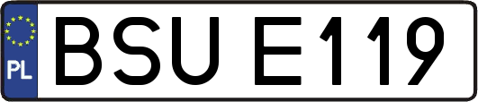 BSUE119
