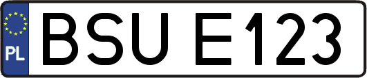 BSUE123