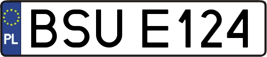 BSUE124