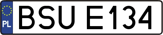 BSUE134