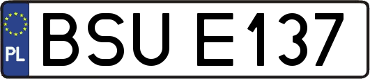BSUE137