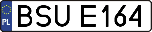 BSUE164