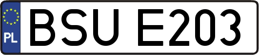 BSUE203