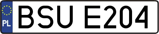 BSUE204
