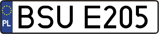 BSUE205