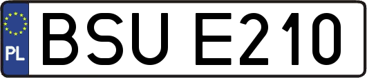 BSUE210