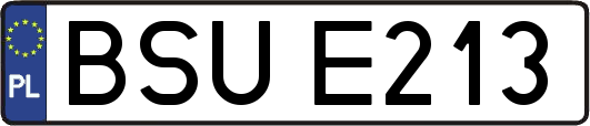 BSUE213