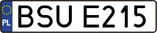 BSUE215