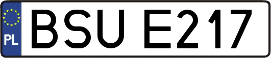 BSUE217