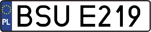 BSUE219