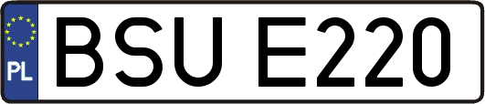BSUE220