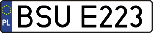 BSUE223