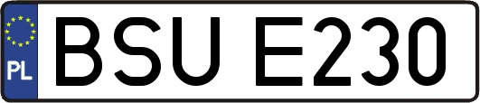 BSUE230