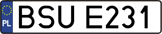 BSUE231