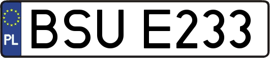 BSUE233