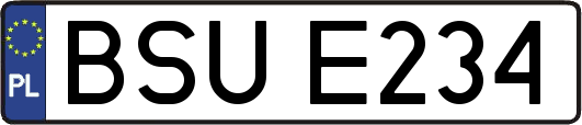 BSUE234