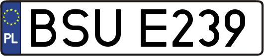 BSUE239
