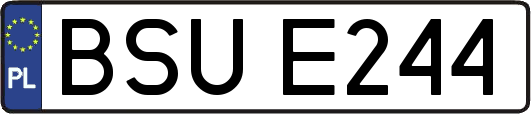 BSUE244