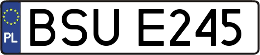 BSUE245