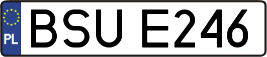 BSUE246