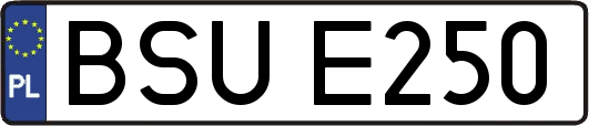 BSUE250