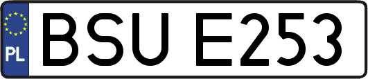 BSUE253