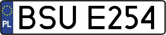 BSUE254