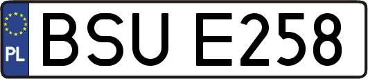 BSUE258