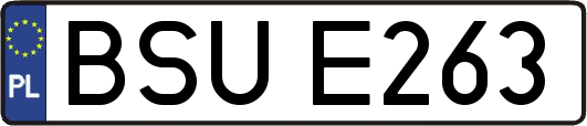 BSUE263