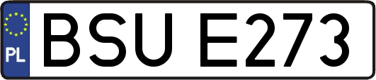 BSUE273