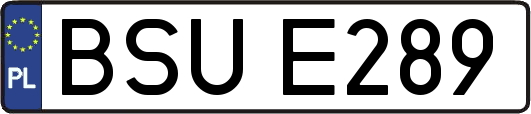 BSUE289
