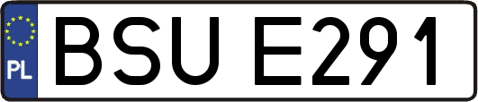 BSUE291