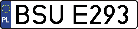 BSUE293