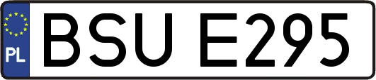 BSUE295