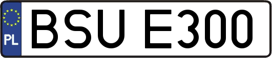 BSUE300