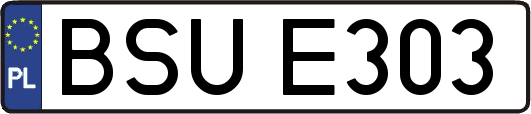 BSUE303