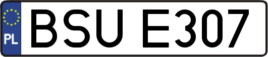 BSUE307