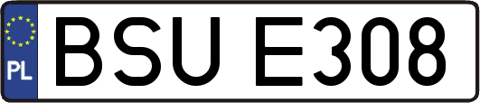 BSUE308