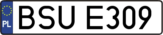 BSUE309