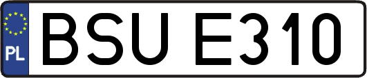 BSUE310
