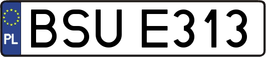 BSUE313