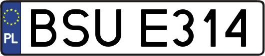 BSUE314